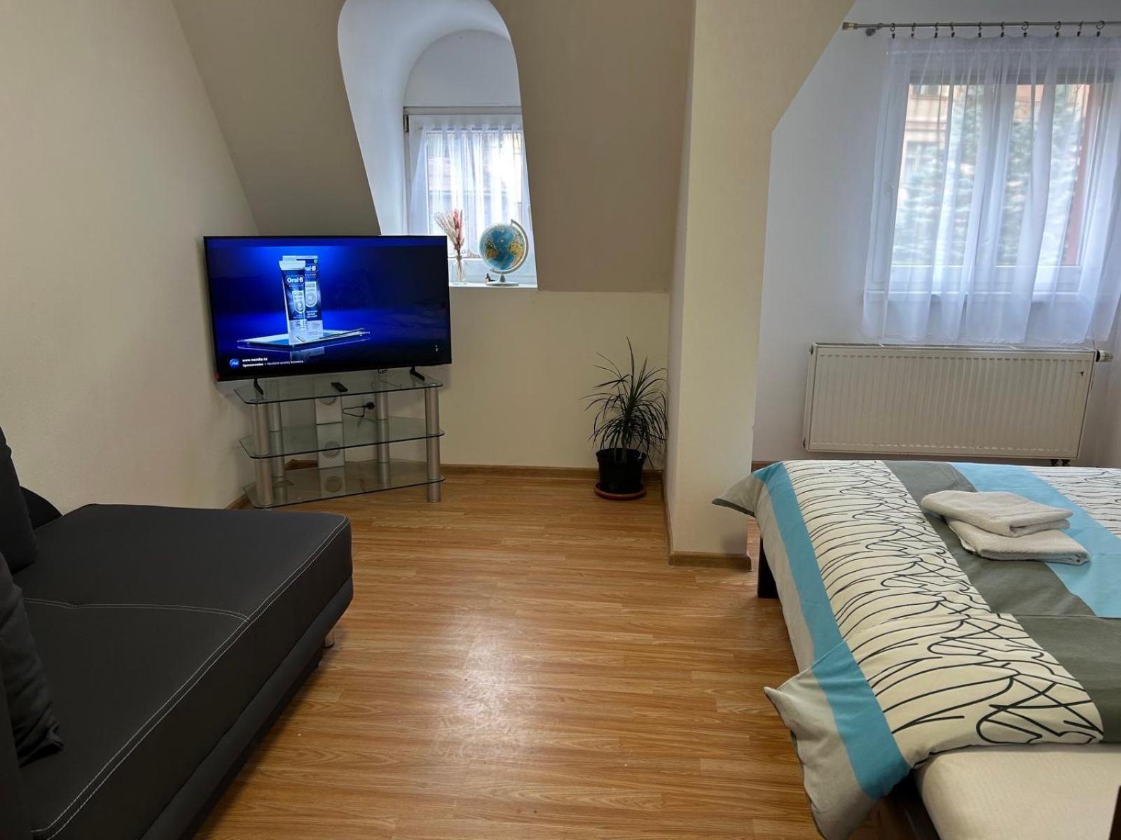 Apartman V Krusnych Horach-Free Parking Jáchymov Exterior foto
